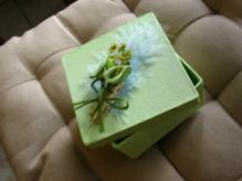Boite cadeau carrée verte "arum + plume"