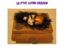 Coffret "pirate 3"